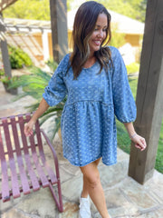 PREORDER: Alexa Denim Dress